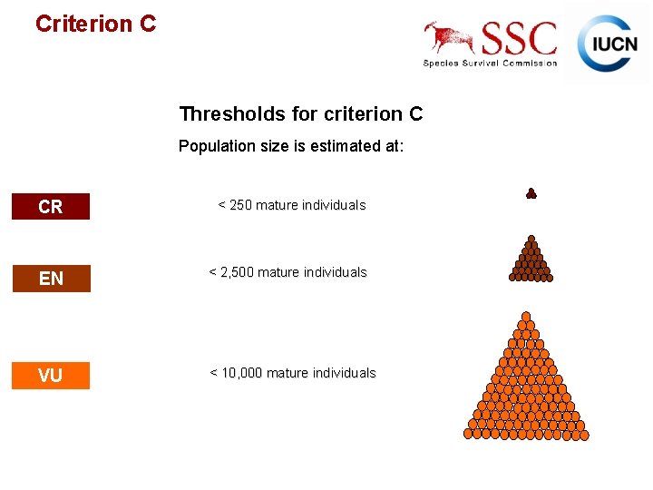 Criterion C Thresholds for criterion C Population size is estimated at: CR < 250