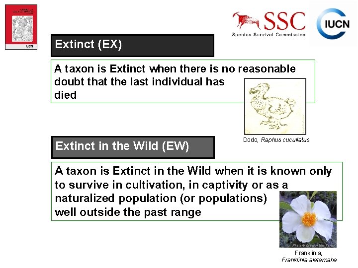 Extinct (EX) A taxon is Extinct when there is no reasonable doubt that the