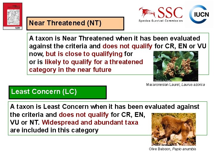 Near Threatened (NT) A taxon is Near Threatened when it has been evaluated against
