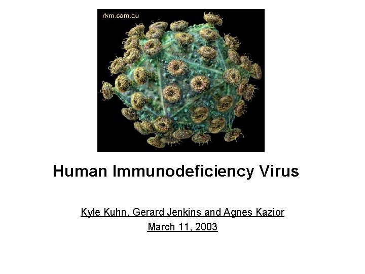 Human Immunodeficiency Virus Kyle Kuhn, Gerard Jenkins and Agnes Kazior March 11, 2003 