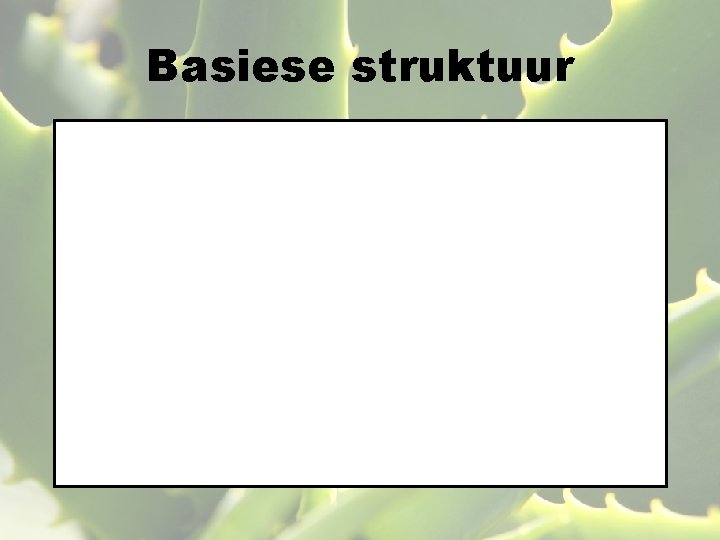 Basiese struktuur 