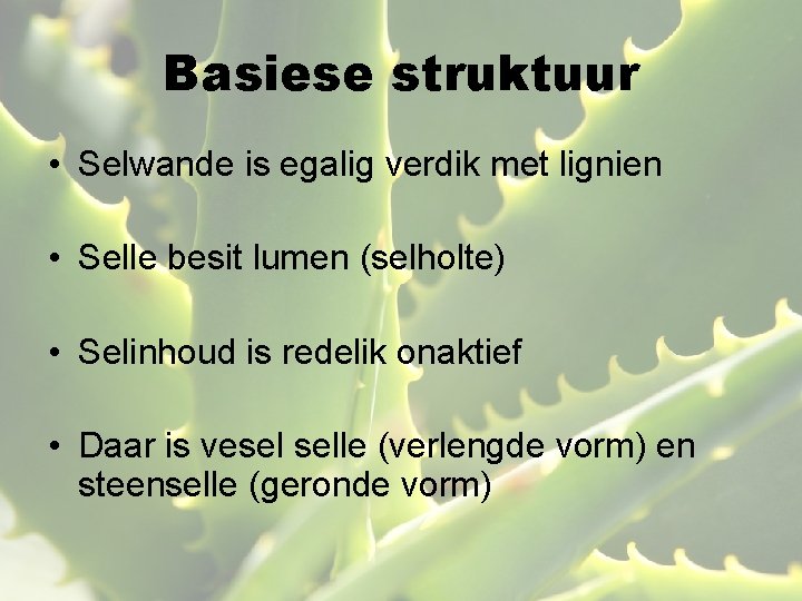 Basiese struktuur • Selwande is egalig verdik met lignien • Selle besit lumen (selholte)