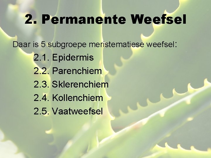2. Permanente Weefsel Daar is 5 subgroepe meristematiese weefsel: 2. 1. Epidermis 2. 2.
