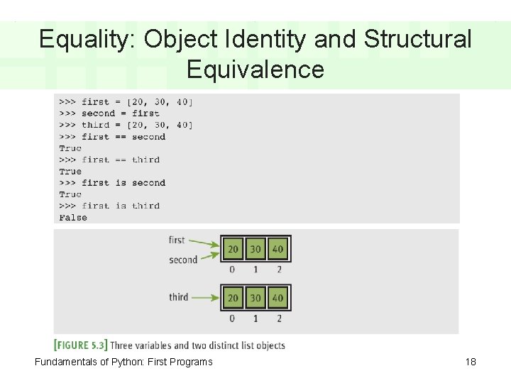 Equality: Object Identity and Structural Equivalence Fundamentals of Python: First Programs 18 