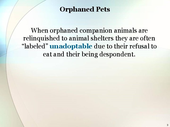 Orphaned Pets When orphaned companion animals are relinquished to animal shelters they are often