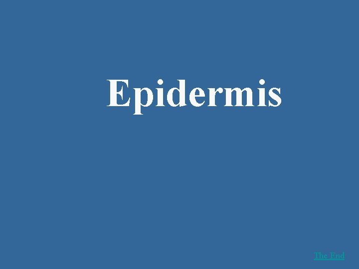 Epidermis The End 