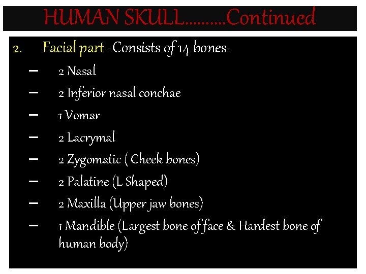 HUMAN SKULL………. Continued 2. Facial part -Consists of 14 bones– – – – 2