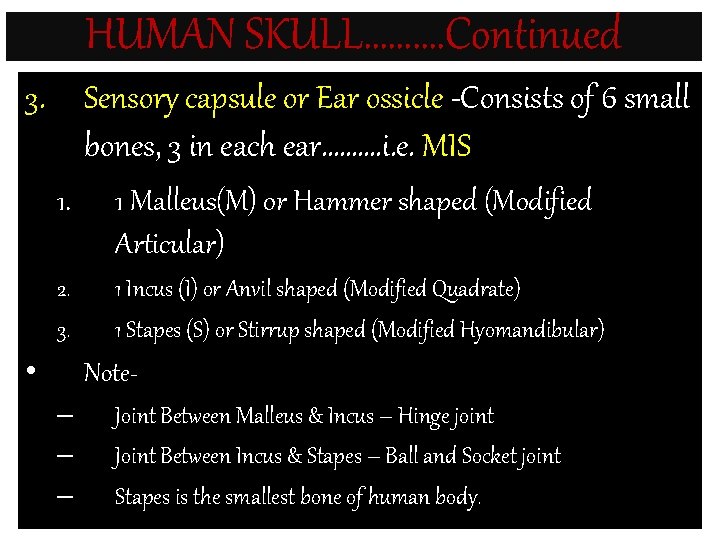 HUMAN SKULL………. Continued 3. Sensory capsule or Ear ossicle -Consists of 6 small bones,