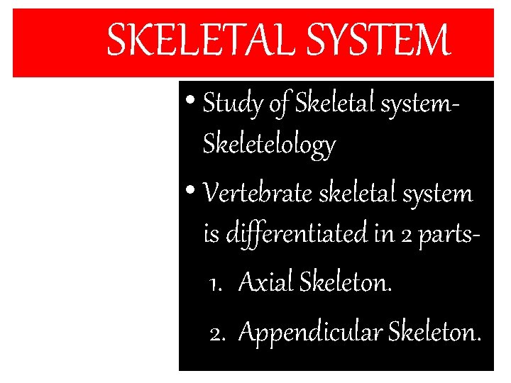 SKELETAL SYSTEM • Study of Skeletal system. Skeletelology • Vertebrate skeletal system is differentiated