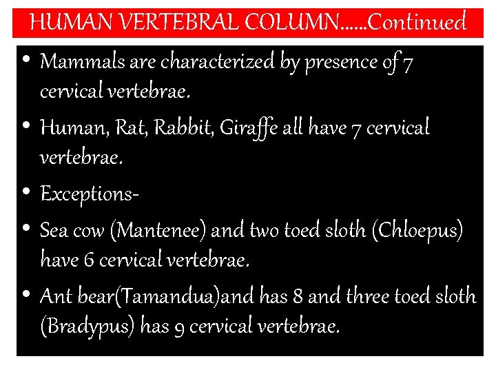 HUMAN VERTEBRAL COLUMN……Continued • Mammals are characterized by presence of 7 cervical vertebrae. •