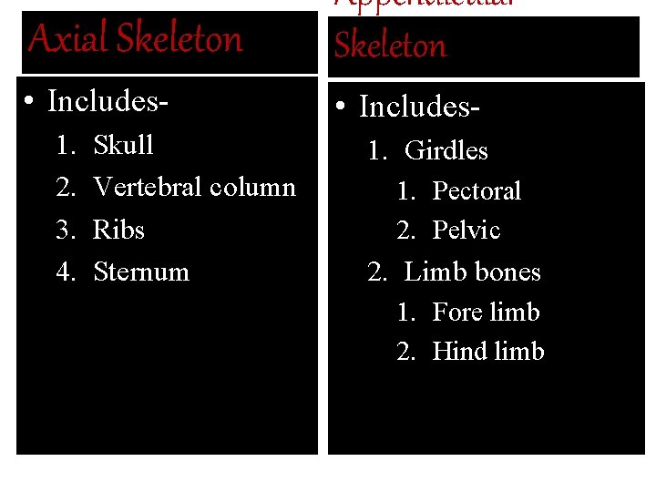 Axial Skeleton Appendicular Skeleton • Includes- 1. 2. 3. 4. Skull Vertebral column Ribs