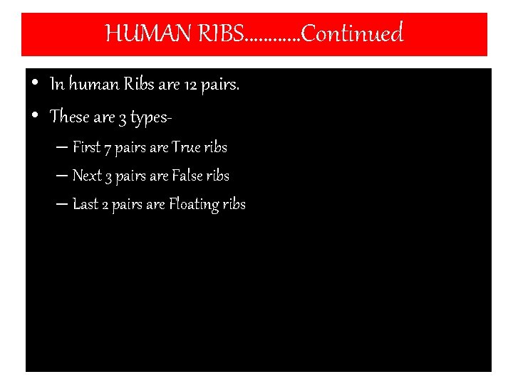 HUMAN RIBS…………Continued • In human Ribs are 12 pairs. • These are 3 types–