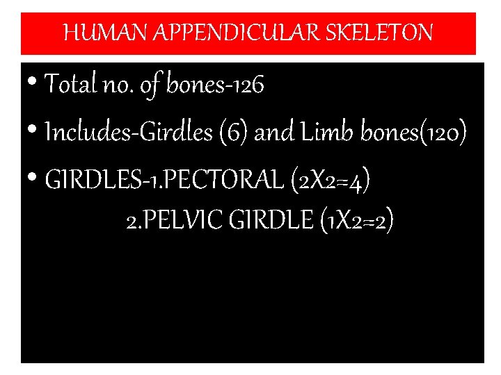 HUMAN APPENDICULAR SKELETON • Total no. of bones-126 • Includes-Girdles (6) and Limb bones(120)