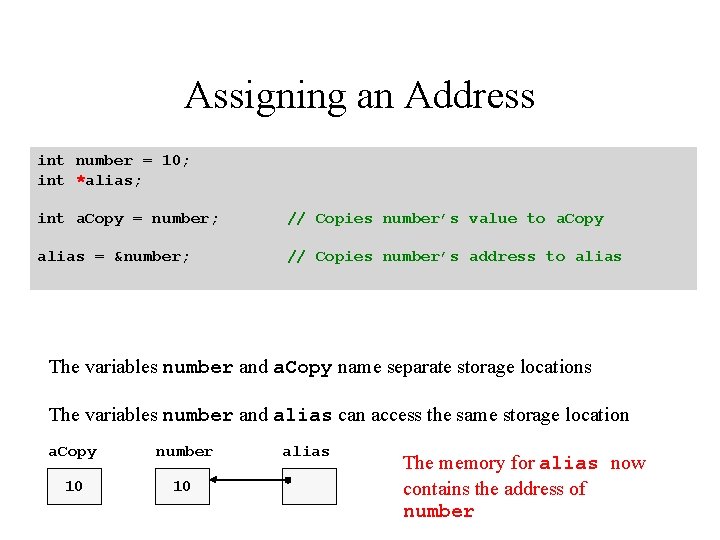 Assigning an Address int number = 10; int *alias; int a. Copy = number; Assigning an Address int number = 10; int *alias; int a. Copy = number;
