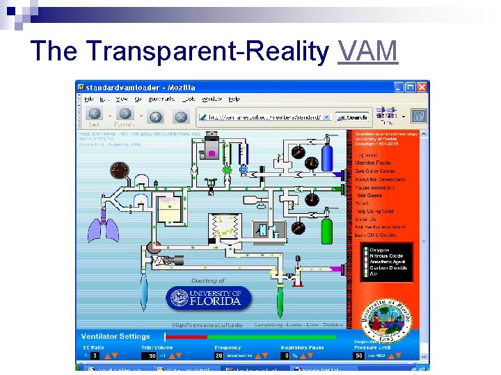 The Transparent-Reality VAM 