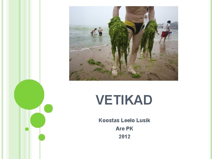 VETIKAD Koostas Leelo Lusik Are PK 2012 