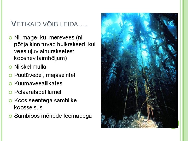 VETIKAID VÕIB LEIDA … Nii mage- kui merevees (nii põhja kinnituvad hulkraksed, kui vees