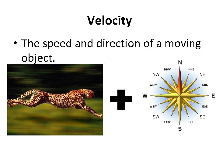 Velocity • The speed and direction of a moving object. 