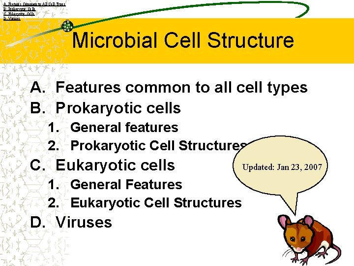 A. Features Common to All Cell Types B. Prokaryotic Cells C. Eukaryotic Cells D.