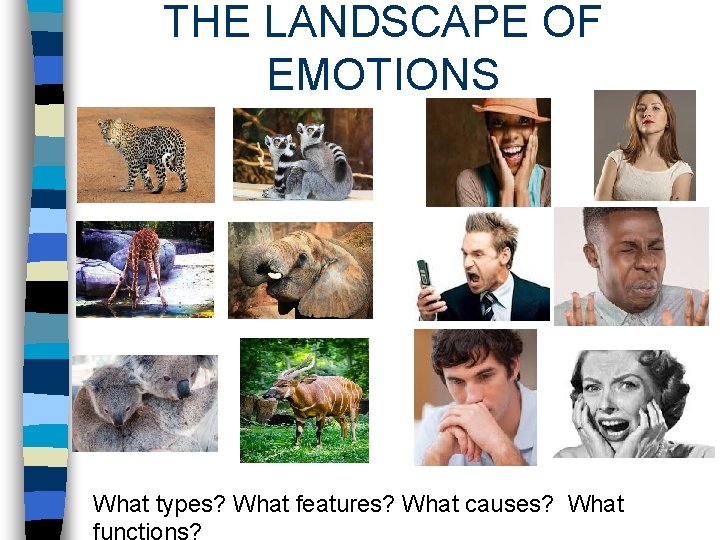 THE LANDSCAPE OF EMOTIONS What types? What features? What causes? What THE LANDSCAPE OF EMOTIONS What types? What features? What causes? What