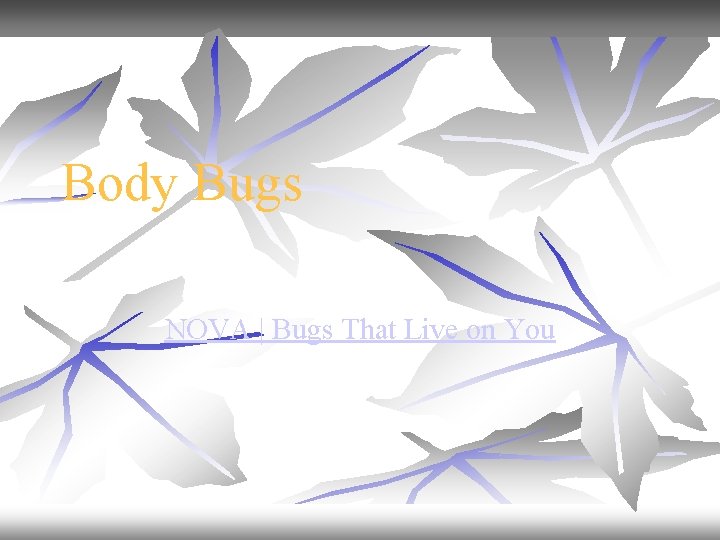Body Bugs NOVA | Bugs That Live on You 