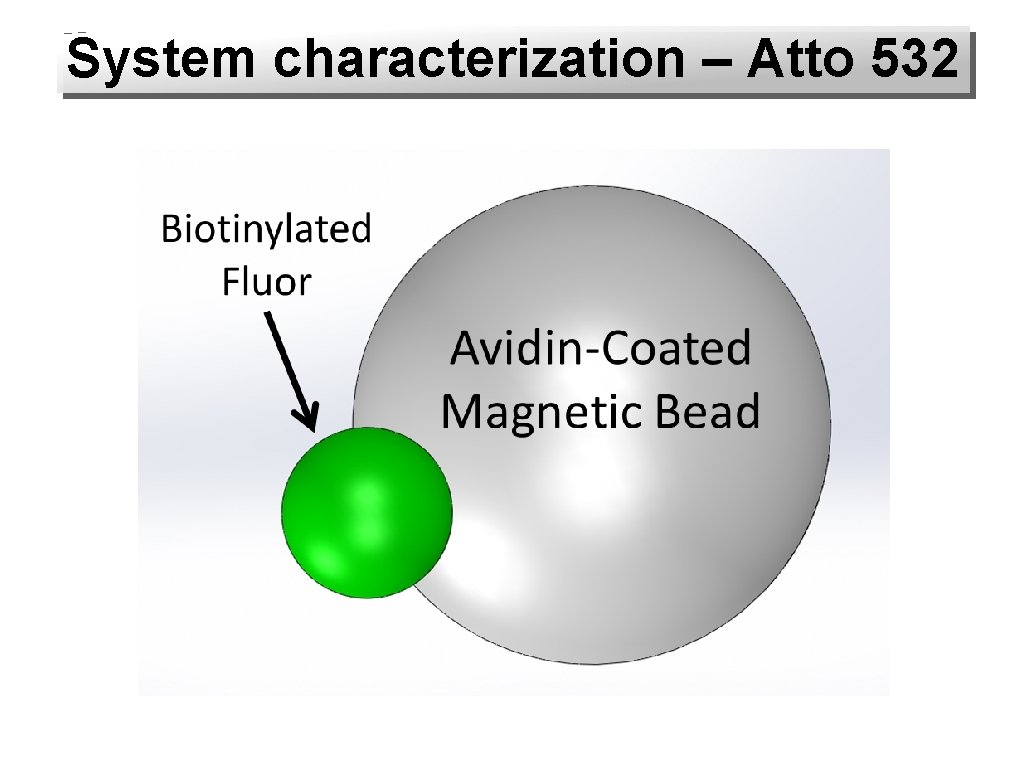 System characterization – Atto 532 Streptavidin 