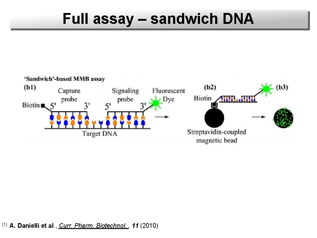 Full assay – sandwich DNA Streptavidin [1] A. Danielli et al. , Curr. Pharm.