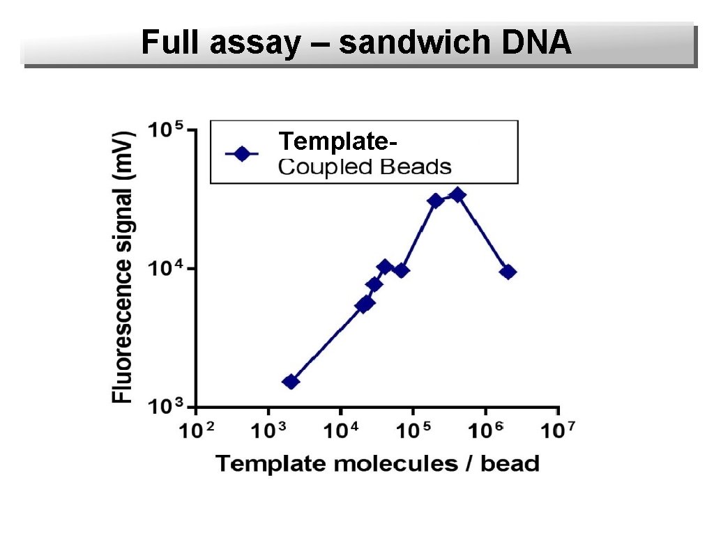 Full assay – sandwich DNA Template- 