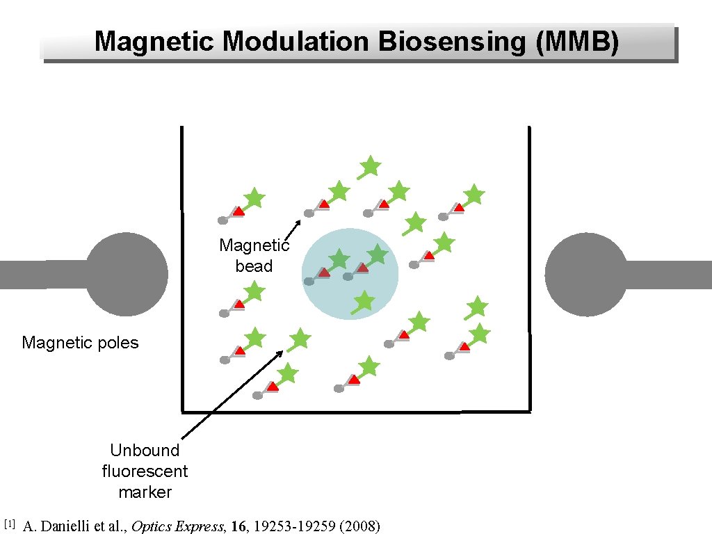 Magnetic Modulation Biosensing (MMB) Magnetic bead Magnetic poles Unbound fluorescent marker [1] A. Danielli