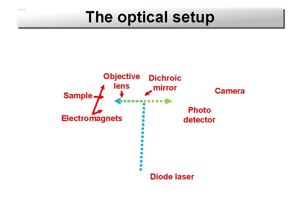 The optical setup Objective lens Sample Electromagnets Dichroic mirror Camera Photo detector Diode laser
