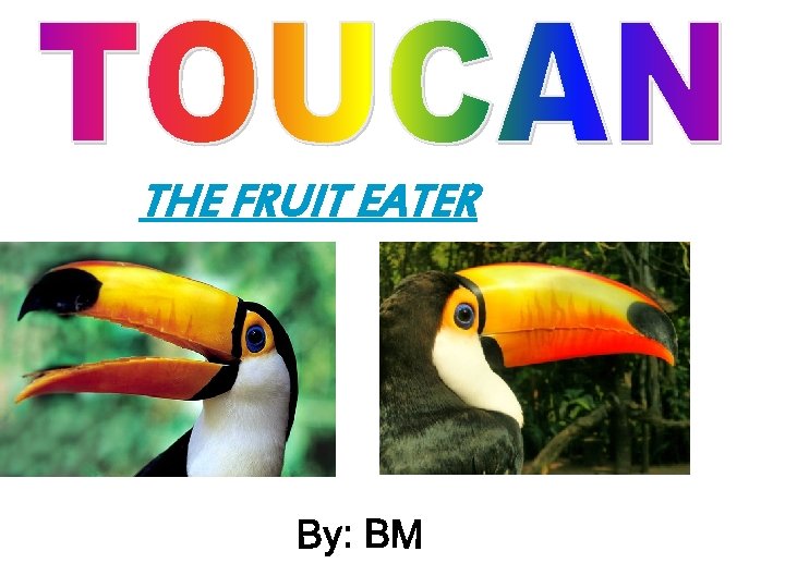 THE FRUIT EATER 