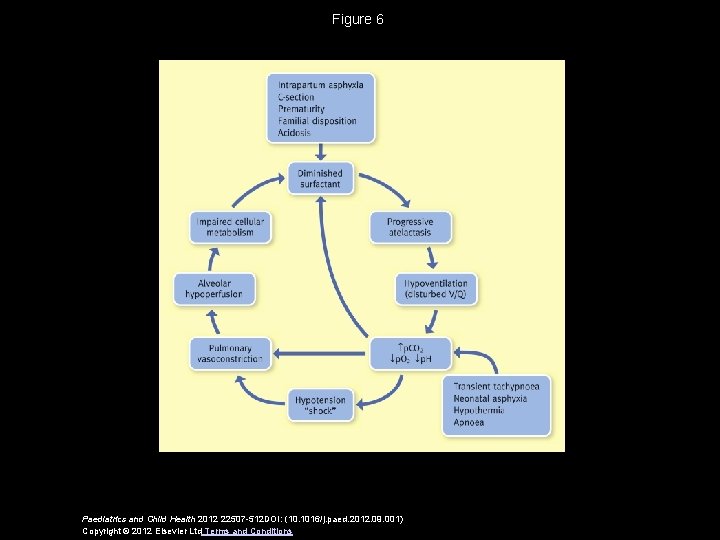 Figure 6 Paediatrics and Child Health 2012 22507 -512 DOI: (10. 1016/j. paed. 2012.