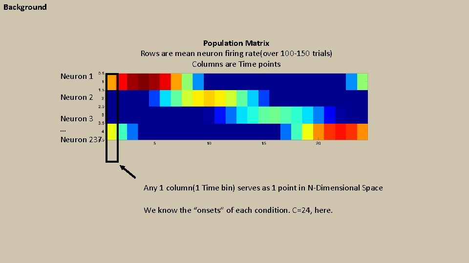 Background Population Matrix Rows are mean neuron firing rate(over 100 -150 trials) Columns are