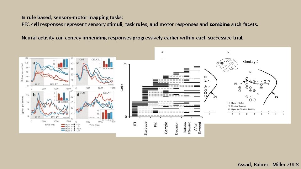 In rule based, sensory-motor mapping tasks: PFC cell responses represent sensory stimuli, task rules,