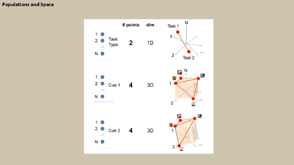 Populations and Space 