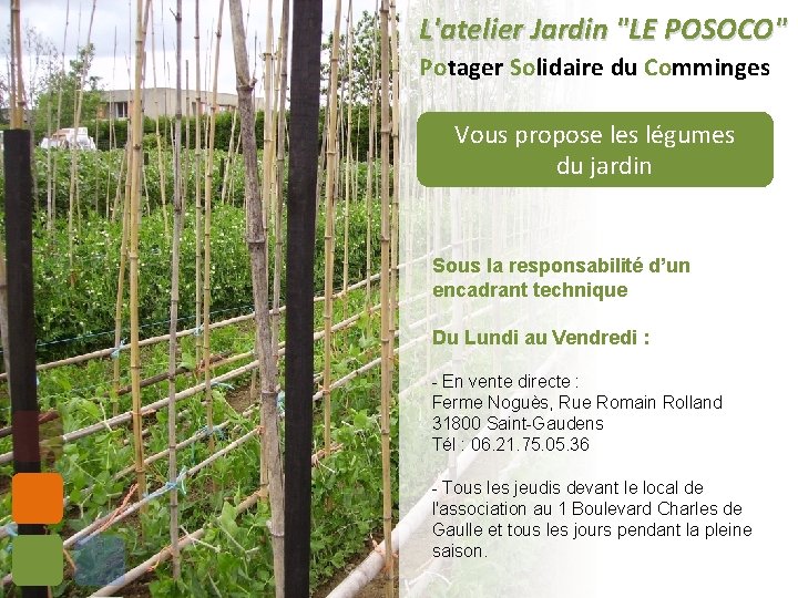 L'atelier Jardin "LE POSOCO" Potager Solidaire du Comminges Vous propose les légumes du jardin