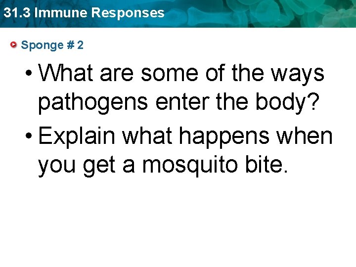 31. 3 Immune Responses Sponge # 2 • What are some of the ways