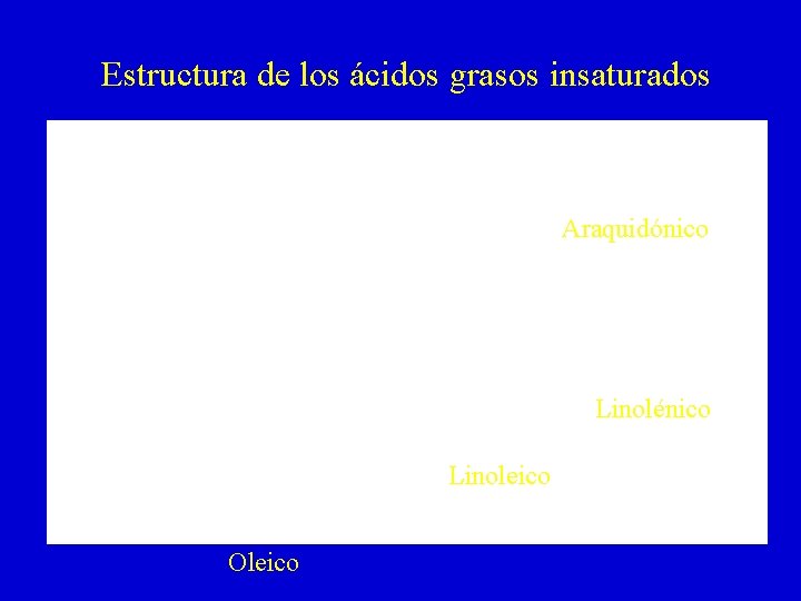 Estructura de los ácidos grasos insaturados Araquidónico Linolénico Linoleico Oleico 