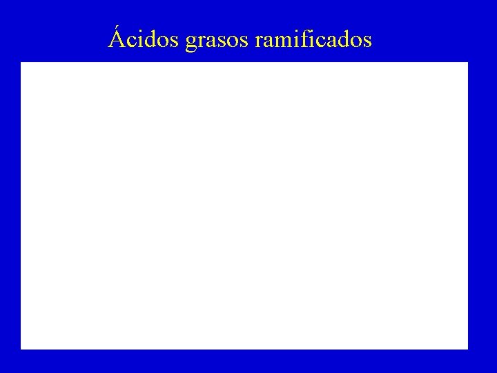 Ácidos grasos ramificados 
