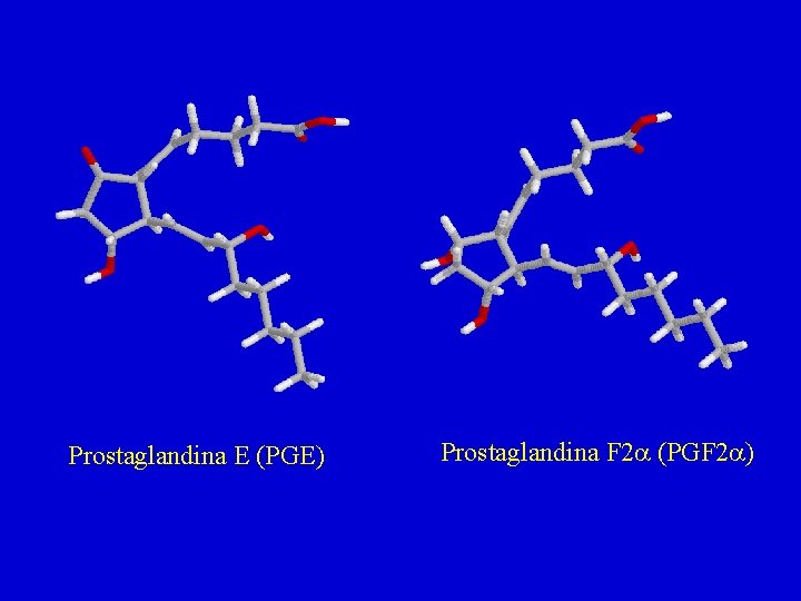 Prostaglandina E (PGE) Prostaglandina F 2 a (PGF 2 a) 
