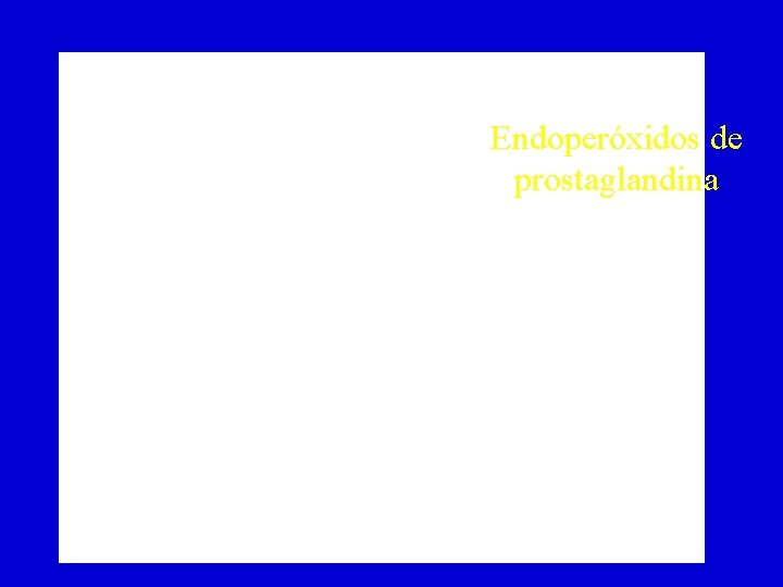 Endoperóxidos de prostaglandina 