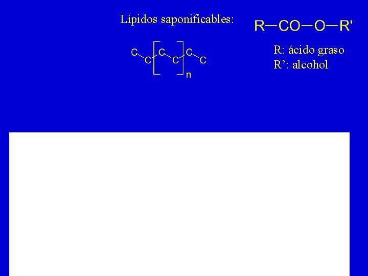 Lípidos saponificables: R: ácido graso R’: alcohol 