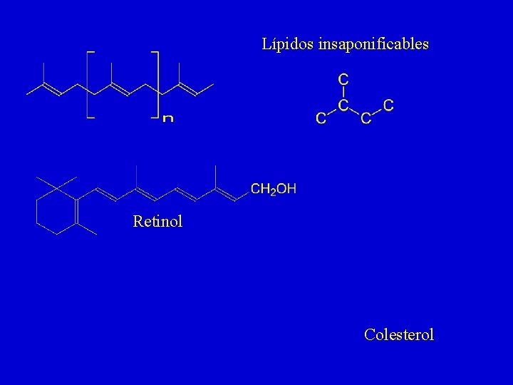 Lípidos insaponificables Retinol Colesterol 