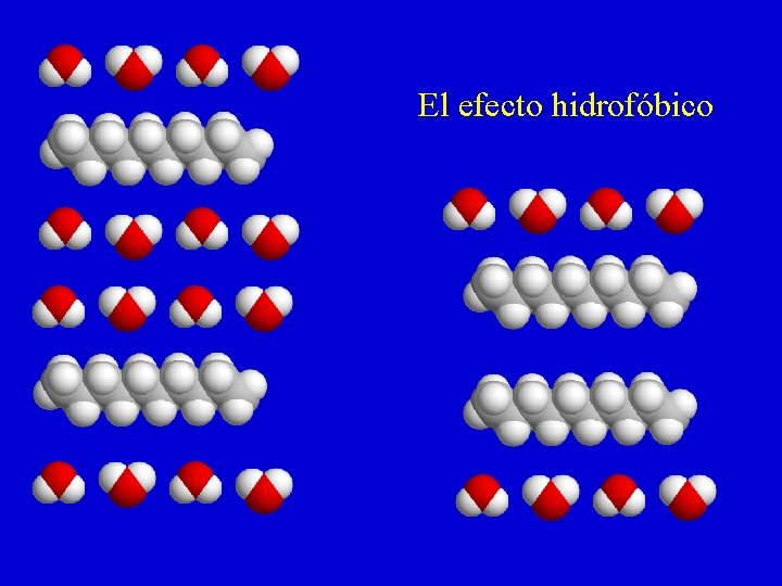 El efecto hidrofóbico 