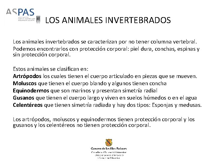 LOS ANIMALES INVERTEBRADOS Los animales invertebrados se caracterizan por no tener columna vertebral. Podemos