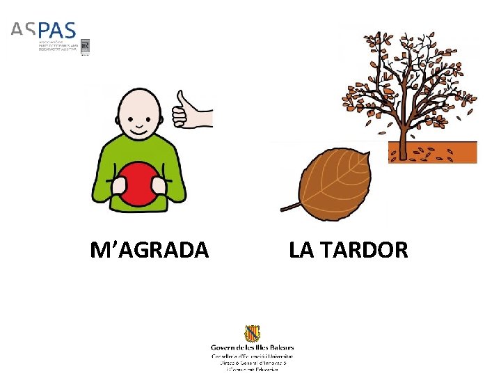 M’AGRADA LA TARDOR M’AGRADA LA TARDOR