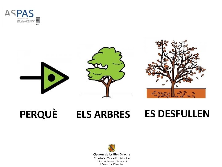PERQUÈ ELS ARBRES ES DESFULLEN PERQUÈ ELS ARBRES ES DESFULLEN