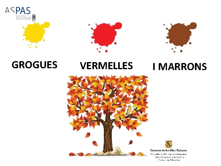 GROGUES VERMELLES I MARRONS GROGUES VERMELLES I MARRONS