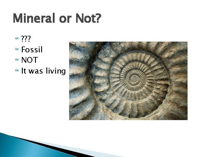 Mineral or Not? ? ? ? Fossil NOT It was living 