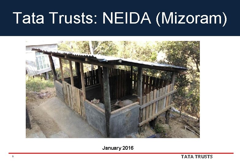 Tata Trusts: NEIDA (Mizoram) January 2016 1 TATA TRUSTS 